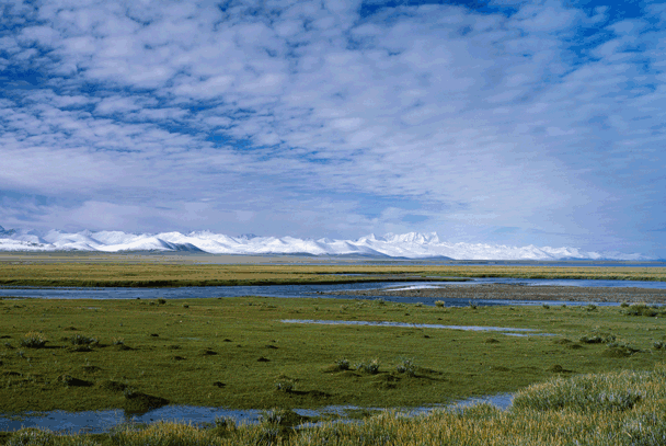 美丽的华锐扎西秀(谨此献给我可爱的家乡)