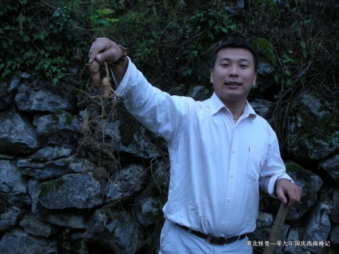 09年国庆自驾西南游记 09年国庆自驾西南游记