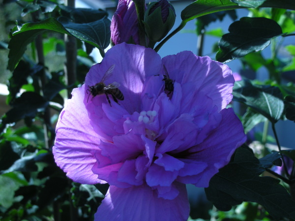 周六门头沟行！