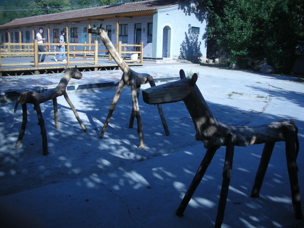 周六门头沟行！