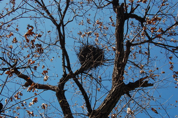 周六门头沟行！