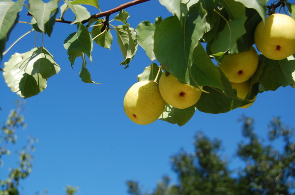 周六门头沟行！