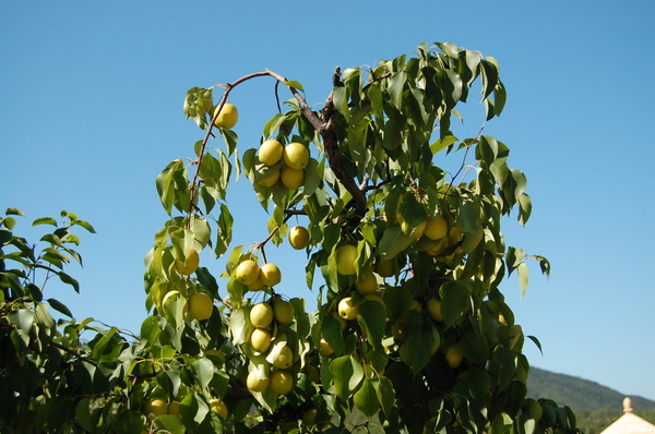 周六门头沟行！