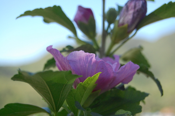 周六门头沟行！