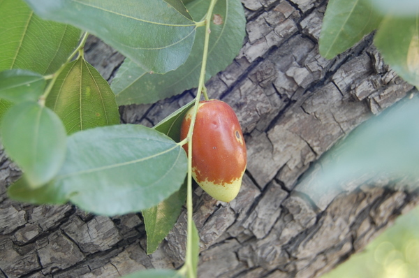 周六门头沟行！