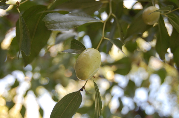 周六门头沟行！