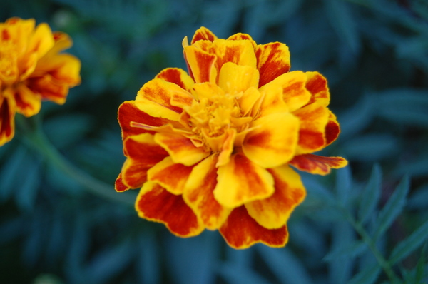 周六门头沟行！