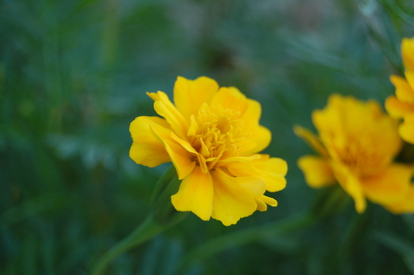 周六门头沟行！