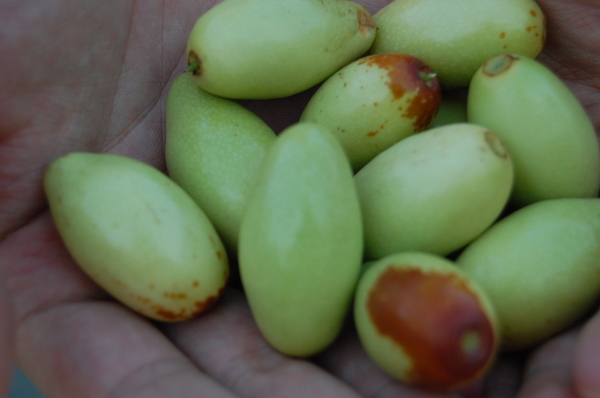 周六门头沟行！