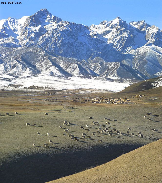 美丽的华锐扎西秀(谨此献给我可爱的家乡)