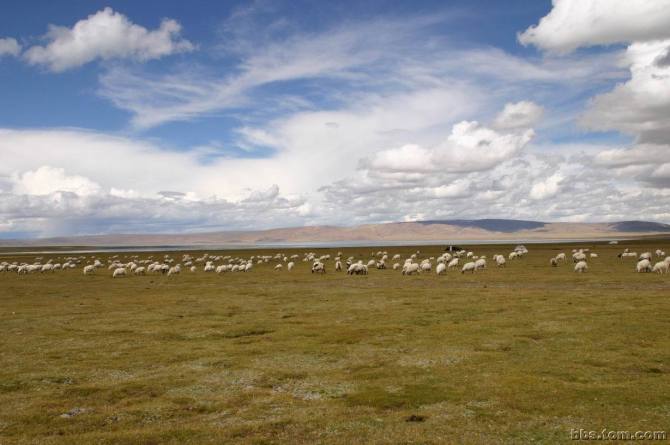 美丽的华锐扎西秀(谨此献给我可爱的家乡)