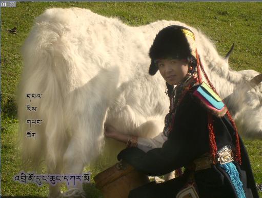 美丽的华锐扎西秀(谨此献给我可爱的家乡)